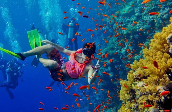 Snorkelling Mnemba