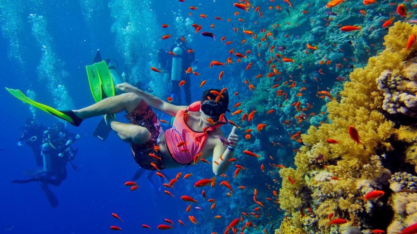 Snorkelling Mnemba